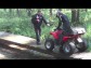 Bl pod Bezdzem - druh ronk