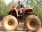 Arktick koka Big Foot