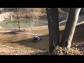 KLUBOVNA - �ESK� BUD�JOVICE