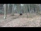 KLUBOVNA - �ESK� BUD�JOVICE