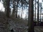 KLUBOVNA - BRNO A OKOL�