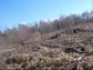 KLUBOVNA - TACHOV a okol�