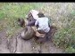 Quad Team Polab�