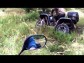 Klubovna - Blansko a okol�.