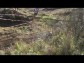 KLUBOVNA - Z�b�eh na Morav� a okol�