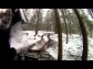 KLUBOVNA - �ESK� BUD�JOVICE