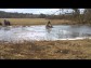 Quad Team Polab�