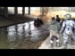 Quad Team Polab�
