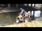 Quad Team Polab�