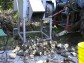 D�eva�sk� klubovna
