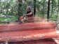 D�eva�sk� klubovna