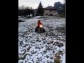 KLUBOVNA - WALACHMOTORS - SLUOVICE a okol