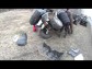 Quad Team Polab�