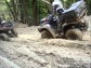 Quad Team Polab