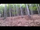 KLUBOVNA - Zbeh na Morav a okol