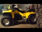 stels guepard atv 800