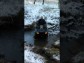 KLUBOVNA - ESK BUDJOVICE