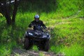 wallpapper Suzuki KingQuad 500 AXi 4x4 Power Steering